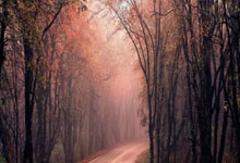 八冠王DNA从未冷却！冯潇霆难过广州队解散，召集荣昊董学升遥望天体踢比赛.