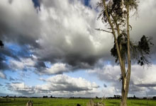 世体评巴萨1-0马竞：战术碾压，什琴斯尼面对0射正悠闲抽雪茄.