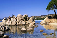 熊猫体育：立春2025新闻集锦：AI进展、体育赛历及明星动态.